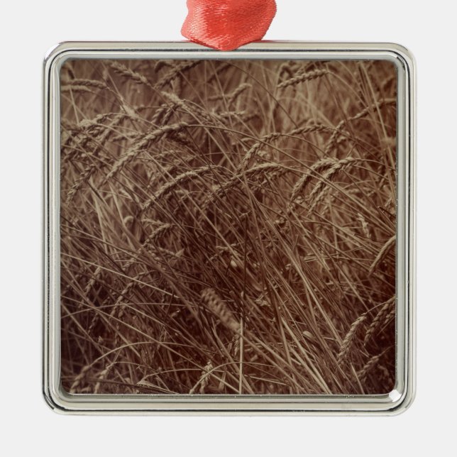 Fält av vete (av Eugène Atget) Julgransprydnad Metall (Framsidan)