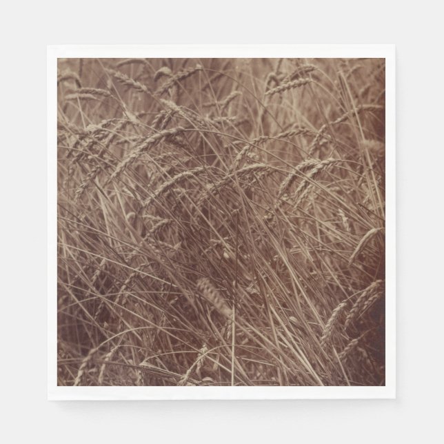 Fält av vete (av Eugène Atget) Pappersservett (Framsidan)