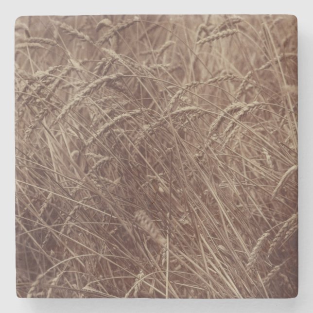 Fält av vete (av Eugène Atget) Stenunderlägg (Framsidan)