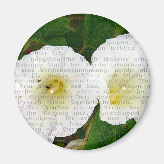 Fält Bindweed Collage Magnet (Framsidan)