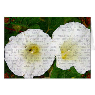 Fält Bindweed Hälsningskort
