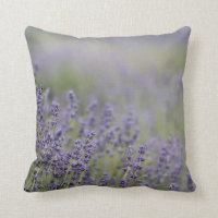 Fält för lavendel för härligt foto för © P