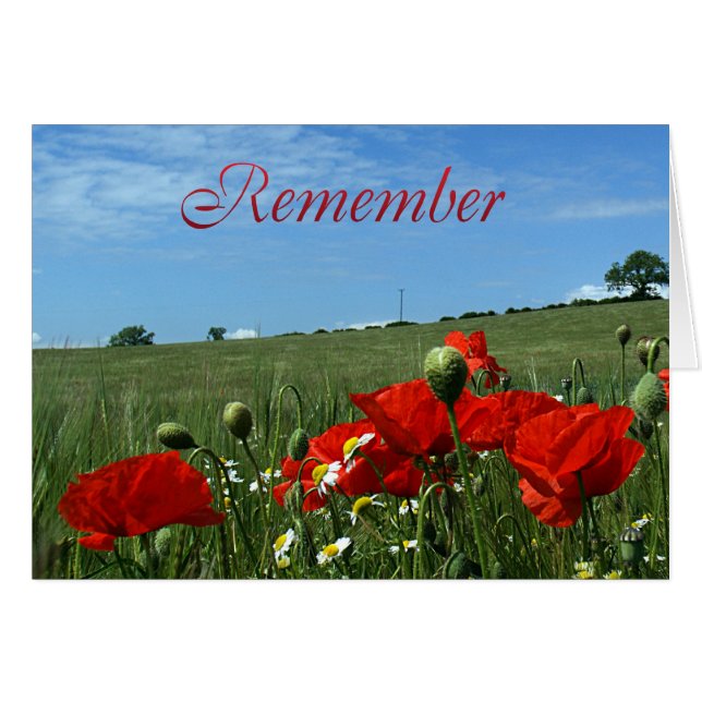 Fält för minnedagvallmo hälsningskort (Framsidan Horizontal)