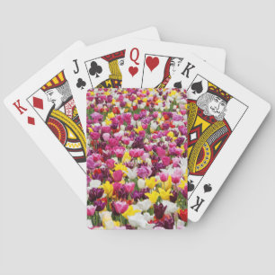 fält fullt i tulpaner casinokort
