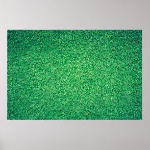 Fält, grönt gräsmatta struktur poster