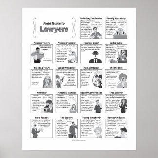 Fält Guide to Lawyers 16x20 Poster