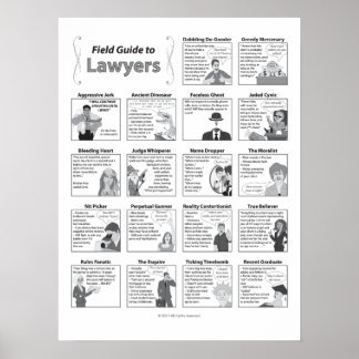 Fält Guide to Lawyers 18x24 Poster