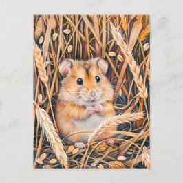 Fält Hamster i Golden Grain Vykort