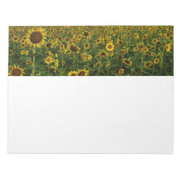 Fält i Anteckningsblocket Solblommor Anteckningsblock