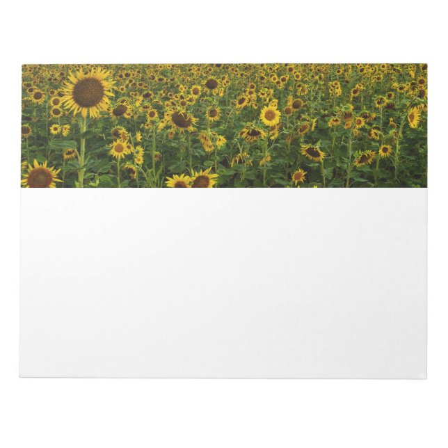 Fält i Anteckningsblocket Solblommor Anteckningsblock (Framsida)