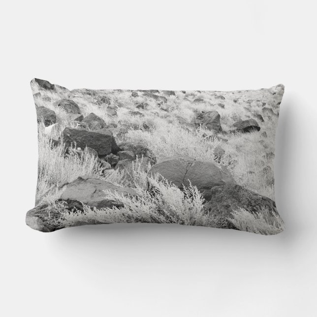 Fält i Basalt Lumbarkudde (Framsida)