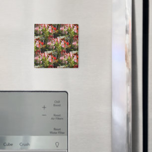 Fält i Begonias... Magnet