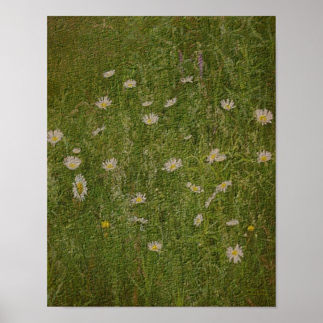 Fält i Blommigten Daisy med texturerad effekt Poster (Framsidan)