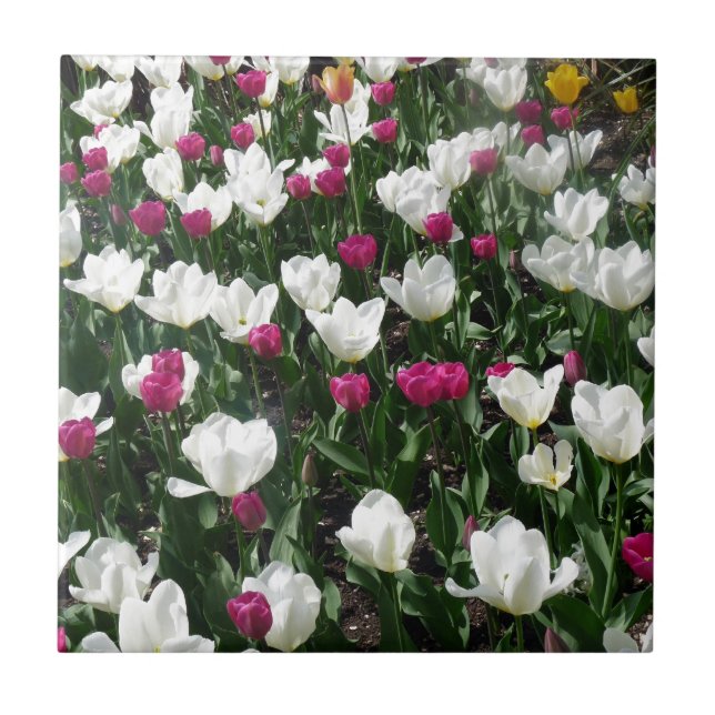 Fält i blommor kakelplatta (Framsidan)