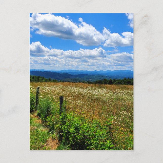 Fält i Blommor och berg Vykort (Framsida)