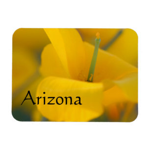 Fält i blomningspoppies, Arizona Magnet