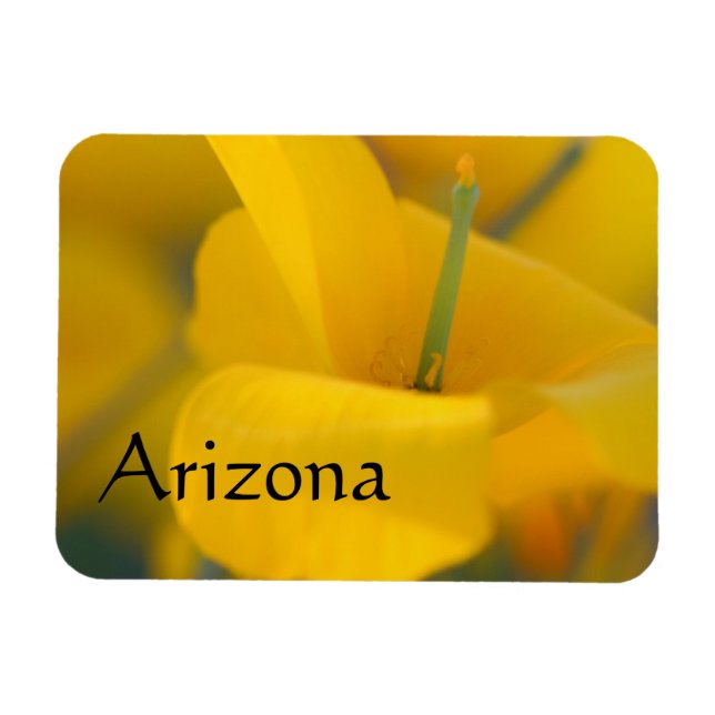 Fält i blomningspoppies, Arizona Magnet (Horisontell)