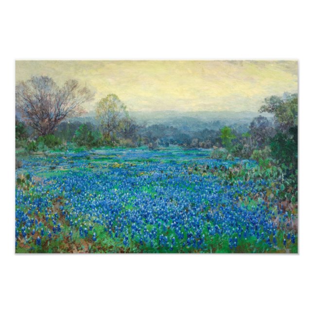 Fält i Bluebonnets, 1918-1920 av Julian Onderdon Fototryck (Framsidan)