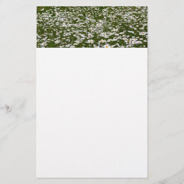 Fält i Daisy Alaska Wildblommor Brevpapper (Framsida)