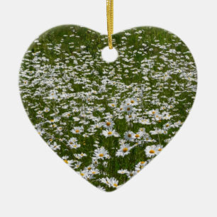 Fält i Daisy Alaska Wildblommor Julgransprydnad Keramik