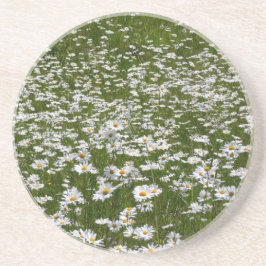Fält i Daisy Alaska Wildblommor Underlägg Sandsten