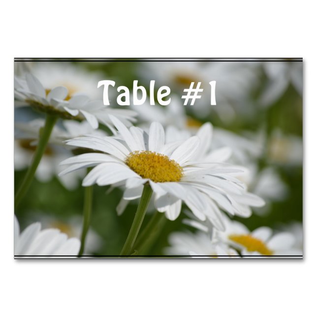 FÄLT i DAISY Bordsnummer (Framsidan)