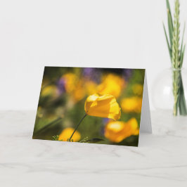 Fält i dansk poppie kort