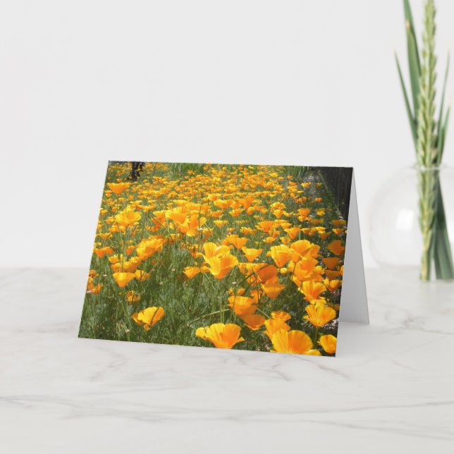 Fält i Dreams Kort (Framsida)