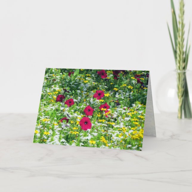 Fält i Dreams Kort (Framsida)