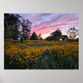 Fält i Dreams Poster