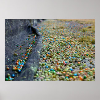 Fält i Dreams Poster