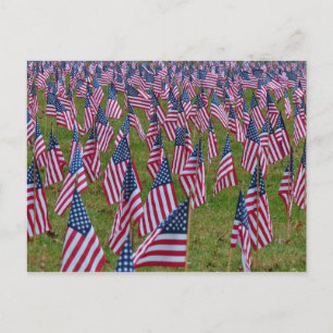 Fält i Flaggor - Memorial American Flaggor Vykort