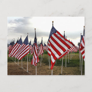 Fält i Flaggor - Patriotiska amerikanska Flaggor Vykort