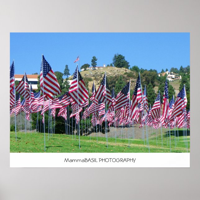 Fält i Flaggor Poster! Poster (Framsidan)