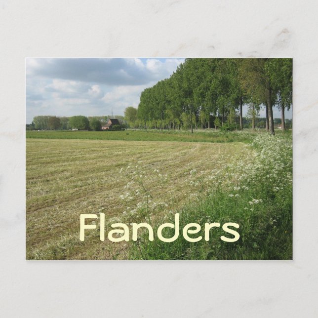 Fält i Flandern Vykort (Framsida)