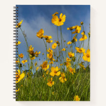 FÄLT i GULA BLOMMOR