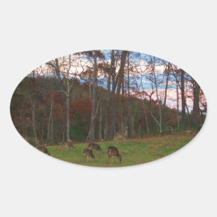 Fält i Hjort och en Rosa SunSet Ovalt Klistermärke