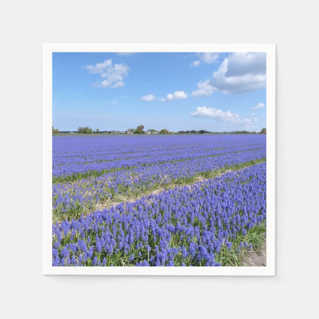 Fält i Hyacinths Pappersservett (Framsidan)