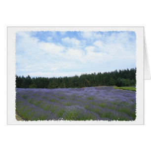 Fält i lavender OBS kort