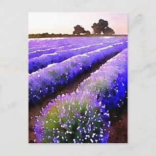 Fält i Lavender Vykort