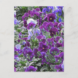 Fält i Lila blommor 8420 paneler Vykort