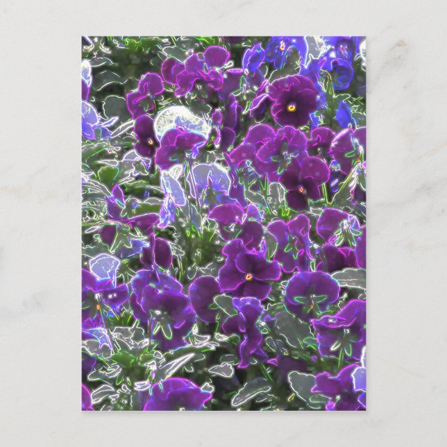 Fält i Lila blommor 8420 paneler Vykort (Framsida)