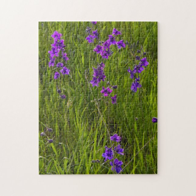 Fält i Lila Larkspur Flowers Pussel (Vertikal)