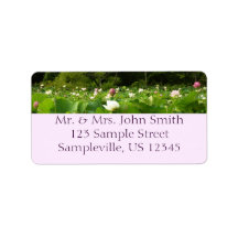 Fält i Lotus Flowers Summer Garden