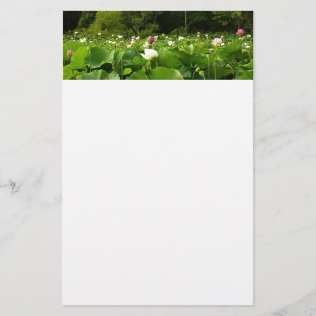Fält i Lotus Flowers Summer Garden Brevpapper (Framsida)