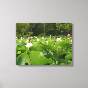 Fält i Lotus Flowers Summer Garden Canvastryck