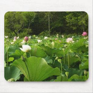 Fält i Lotus Flowers Summer Garden Musmatta