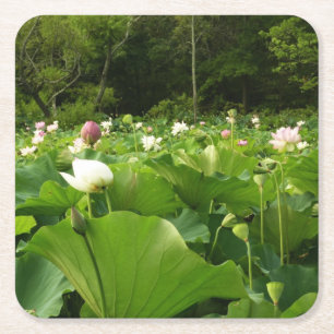 Fält i Lotus Flowers Summer Garden Underlägg Papper Kvadrat