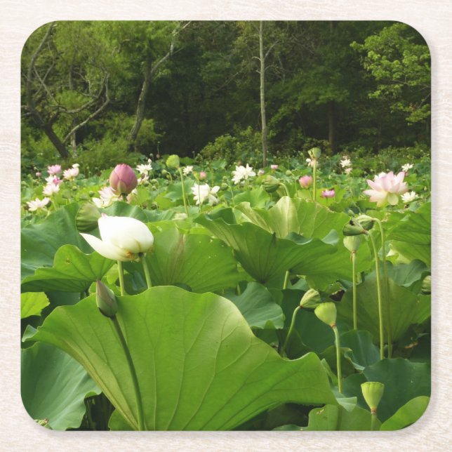 Fält i Lotus Flowers Summer Garden Underlägg Papper Kvadrat (Framsidan)