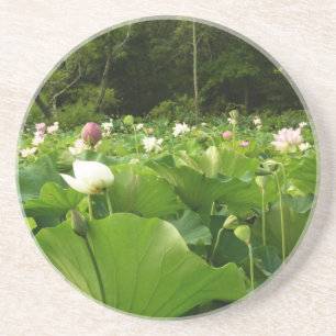 Fält i Lotus Flowers Summer Garden Underlägg Sandsten